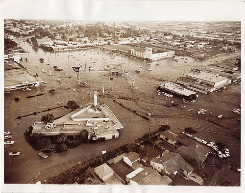 Baldwin Hills Flood Survivor Sought – Los Angeles Sentinel